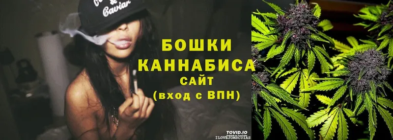 Бошки марихуана THC 21%  Сорочинск 